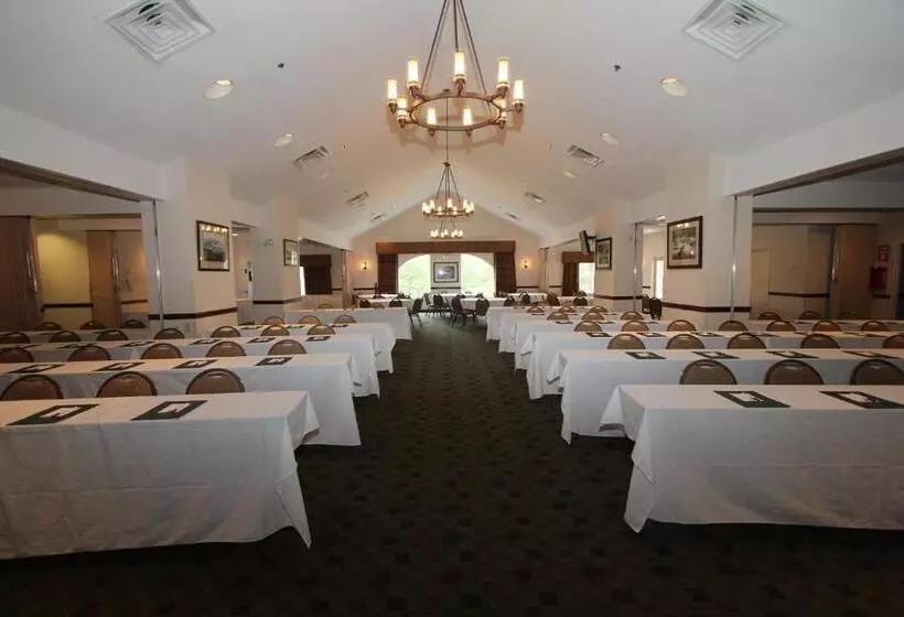 فندق Black Bear Inn & Suites