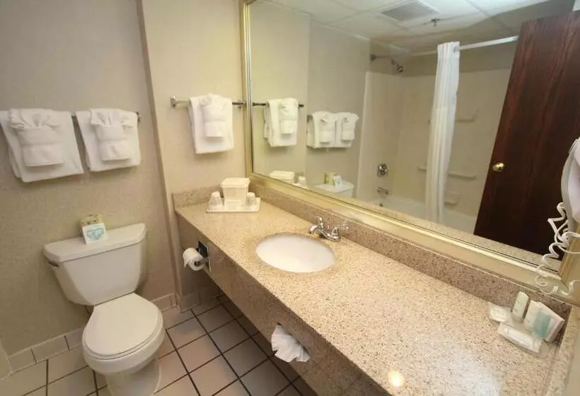 فندق Black Bear Inn & Suites