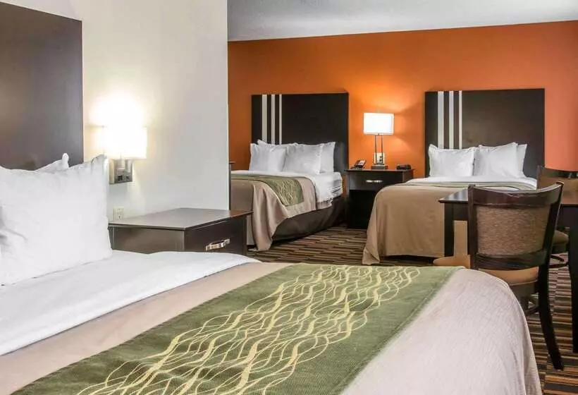 فندق Comfort Inn Maumee  Perrysburg Area