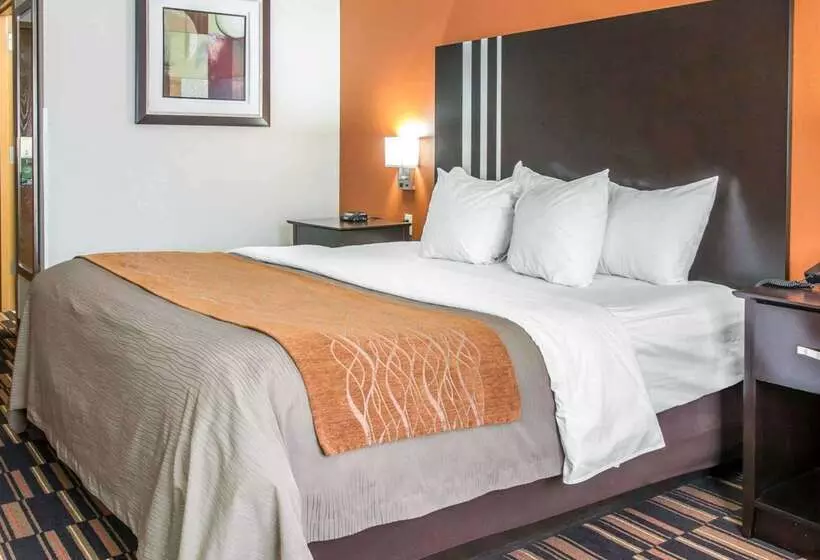 فندق Comfort Inn Maumee  Perrysburg Area