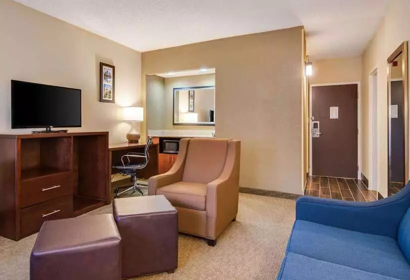 Отель Comfort Inn Roswelldunwoody