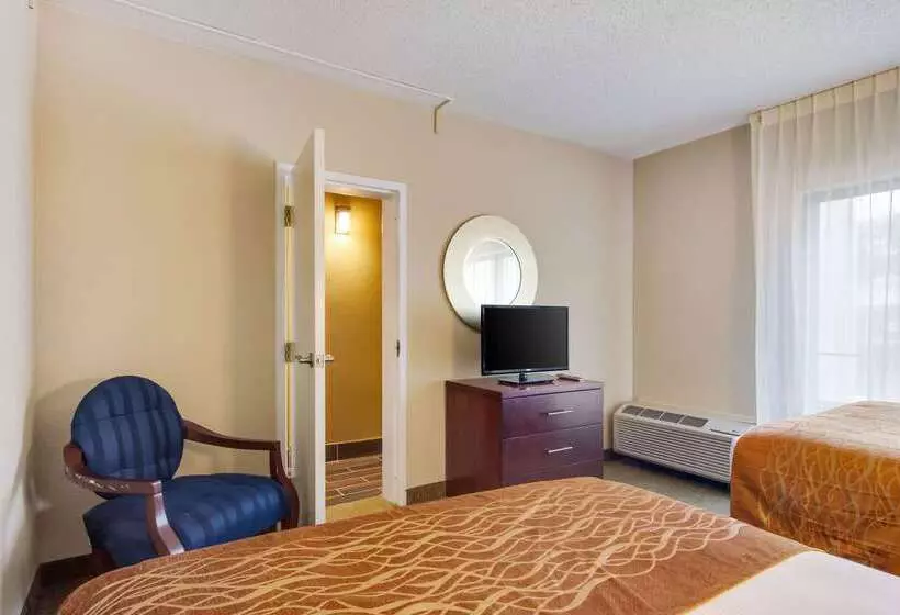 Отель Comfort Inn Roswelldunwoody