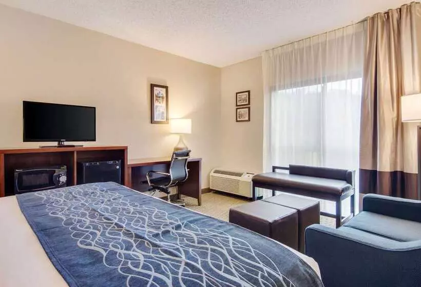 Отель Comfort Inn Roswelldunwoody