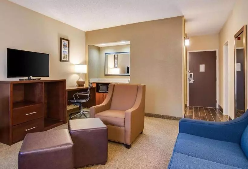 Отель Comfort Inn Roswelldunwoody