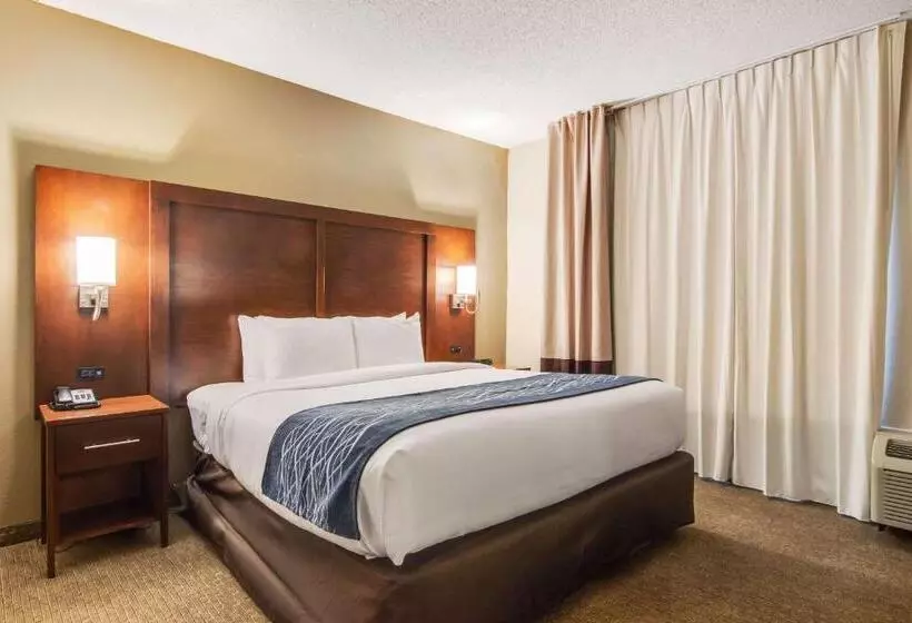 Отель Comfort Inn Roswelldunwoody