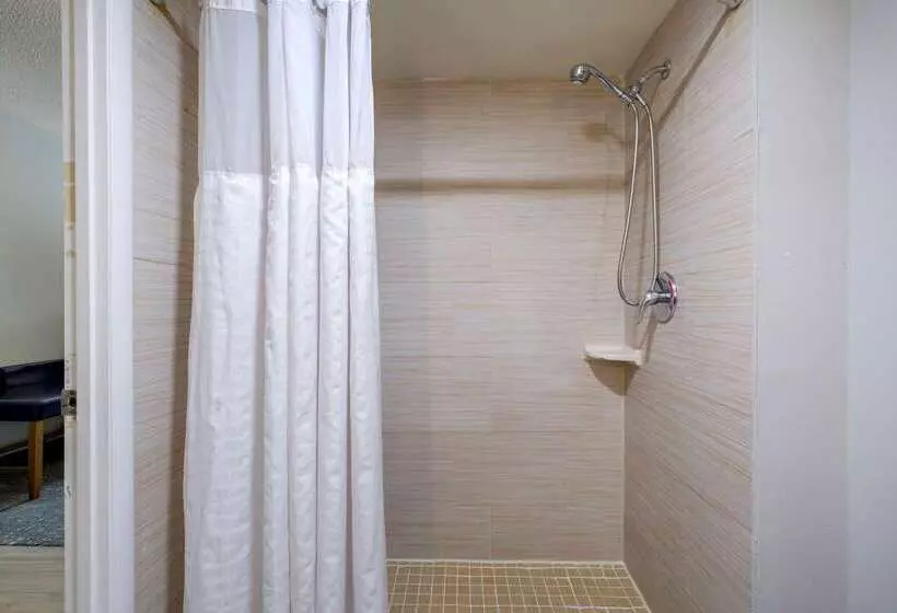 فندق Comfort Inn & Suites Alexandria West