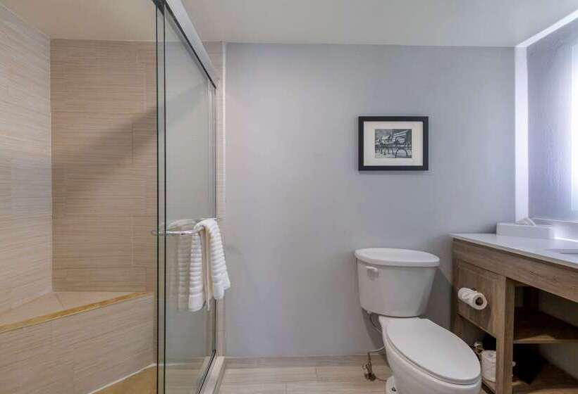 فندق Comfort Inn & Suites Alexandria West