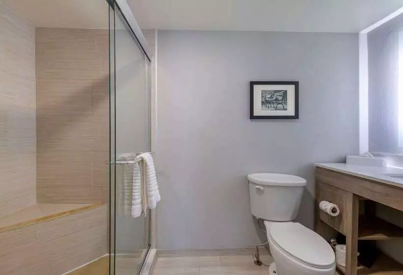 فندق Comfort Inn & Suites Alexandria West