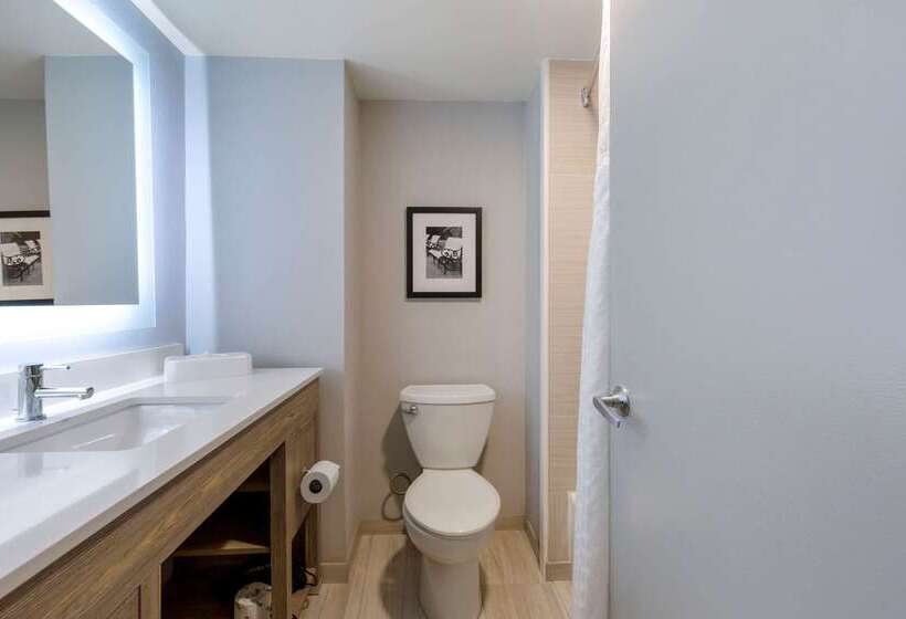 فندق Comfort Inn & Suites Alexandria West