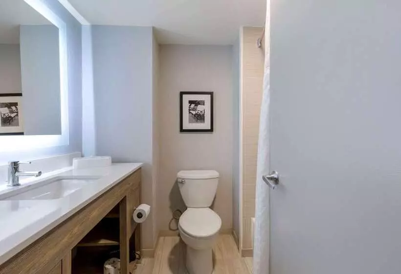 فندق Comfort Inn & Suites Alexandria West