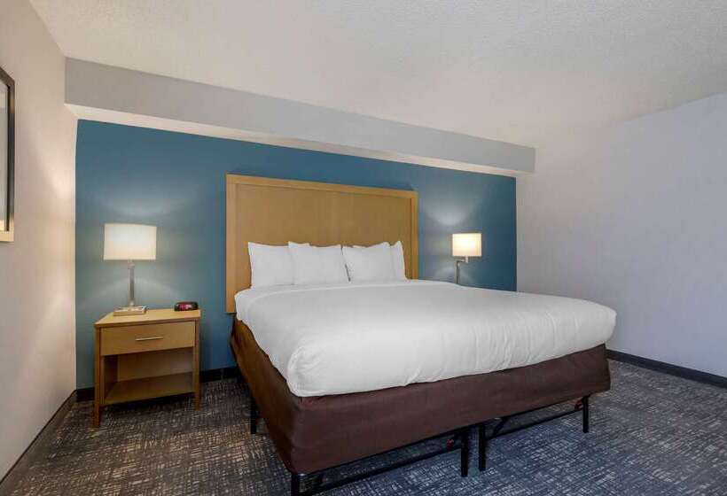 فندق Comfort Inn & Suites Alexandria West