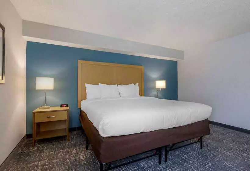 فندق Comfort Inn & Suites Alexandria West