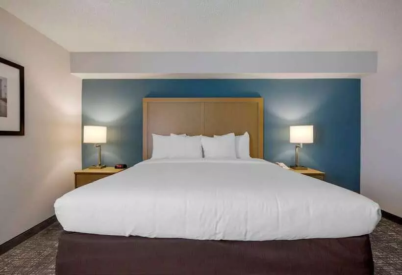 فندق Comfort Inn & Suites Alexandria West