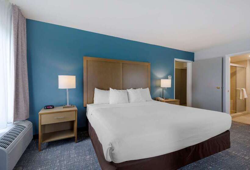 فندق Comfort Inn & Suites Alexandria West