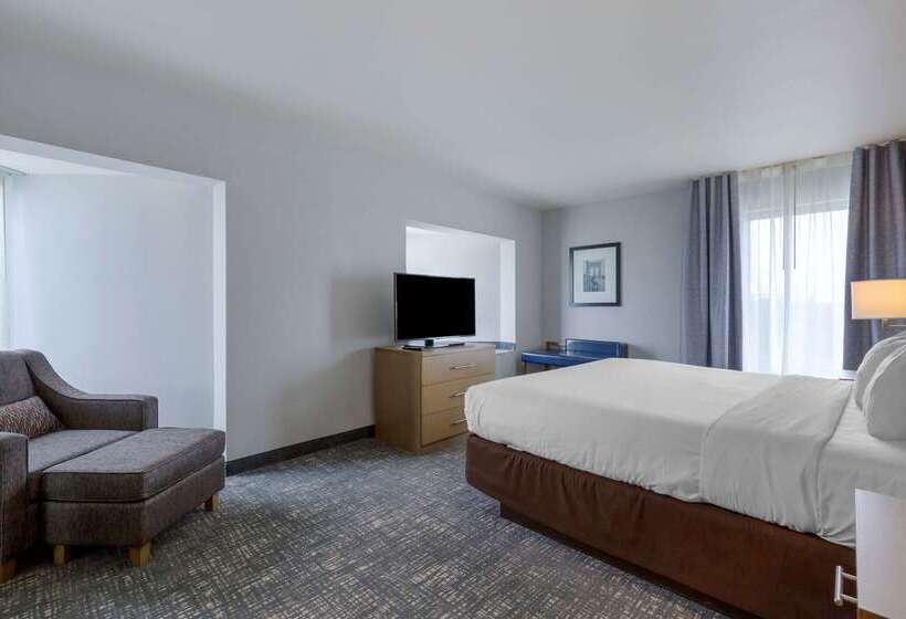 فندق Comfort Inn & Suites Alexandria West