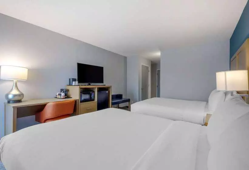 فندق Comfort Inn & Suites Alexandria West