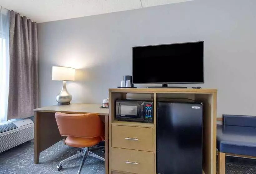 فندق Comfort Inn & Suites Alexandria West