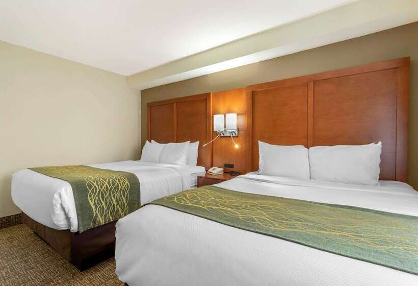 فندق Comfort Inn & Suites  Near Robins Air Force Base Main Gate