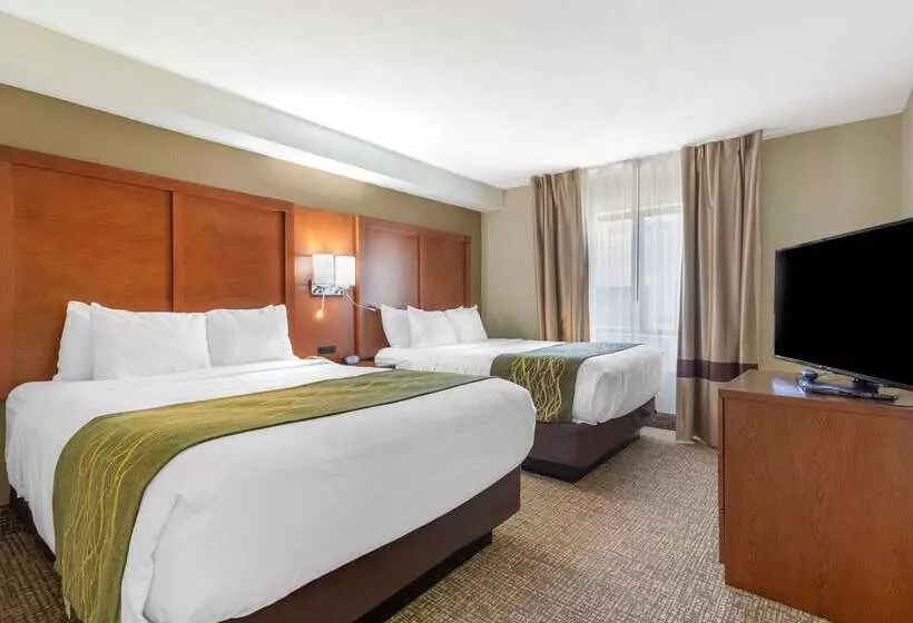 Szálloda Comfort Inn & Suites  Near Robins Air Force Base Main Gate