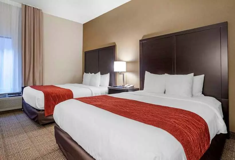 酒店 Comfort Inn