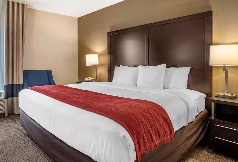 酒店 Comfort Inn
