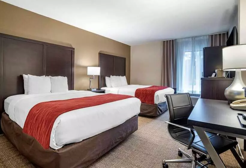 酒店 Comfort Inn