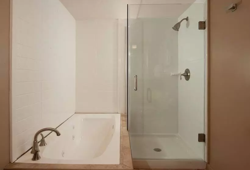 Delta Hotels By Marriott Orlando Lake Buena Vista