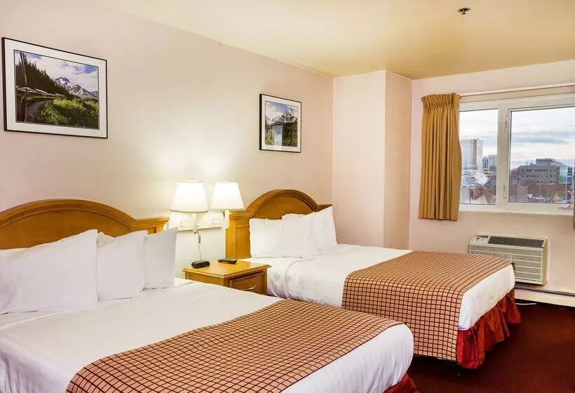 酒店 Guesthouse Anchorage