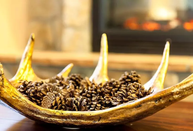 酒店 Guesthouse Anchorage