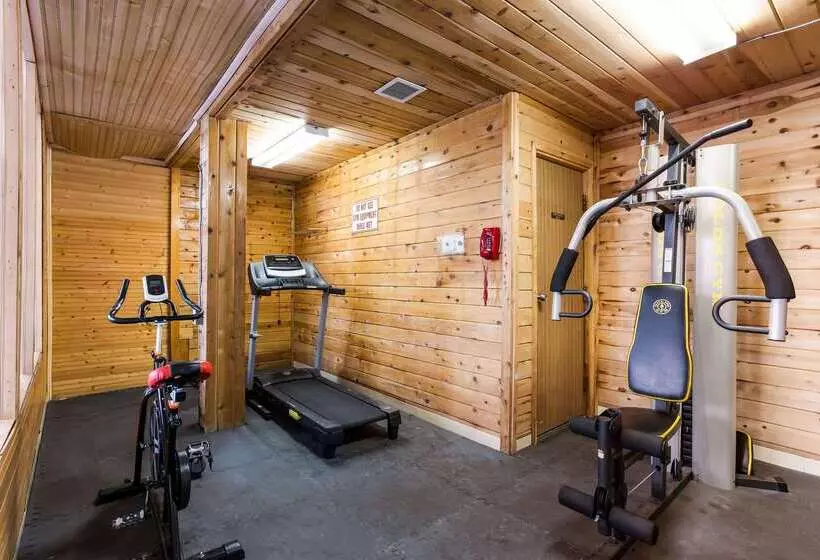 酒店 Quality Inn Airport