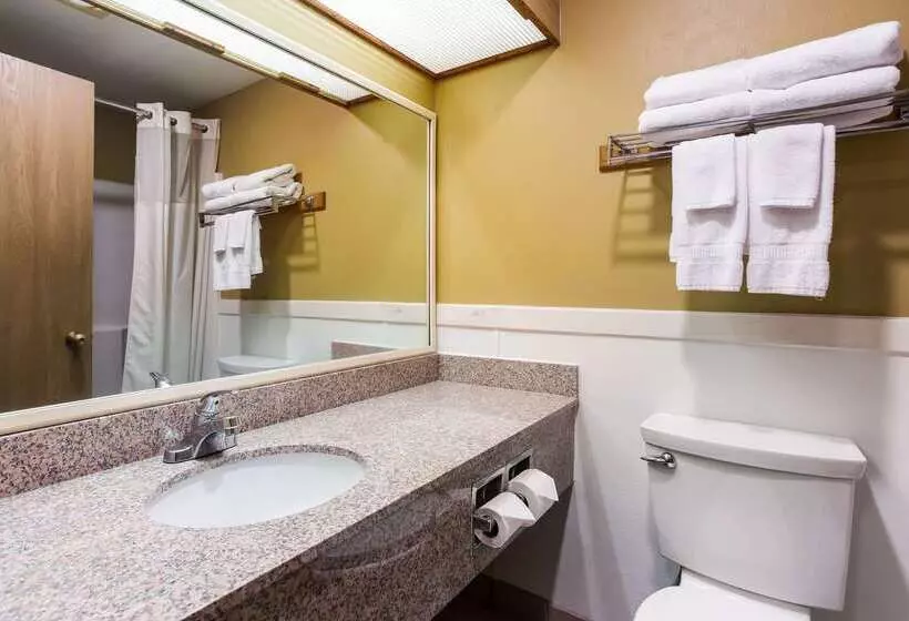 酒店 Quality Inn Airport