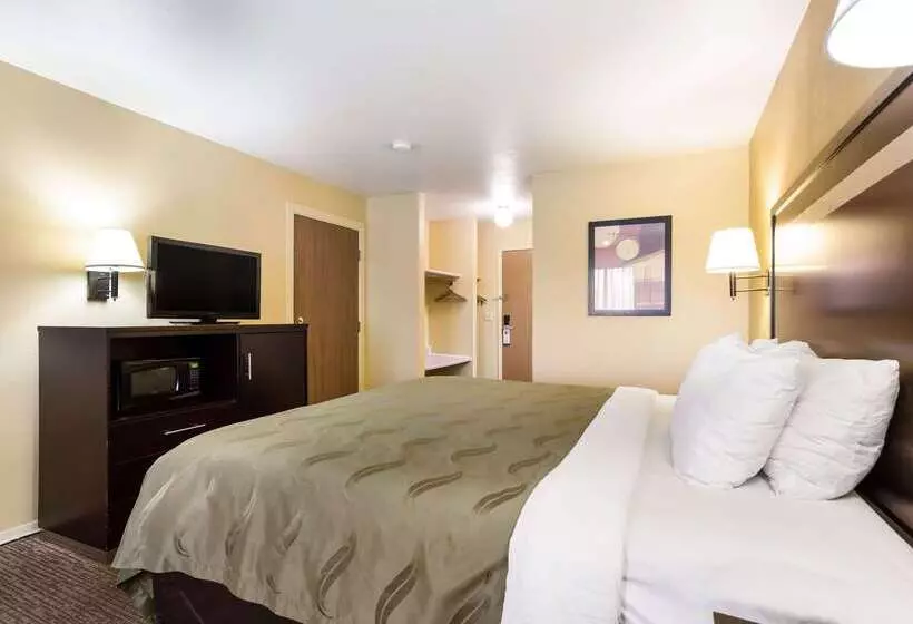 酒店 Quality Inn Airport