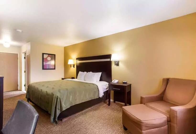 酒店 Quality Inn Airport