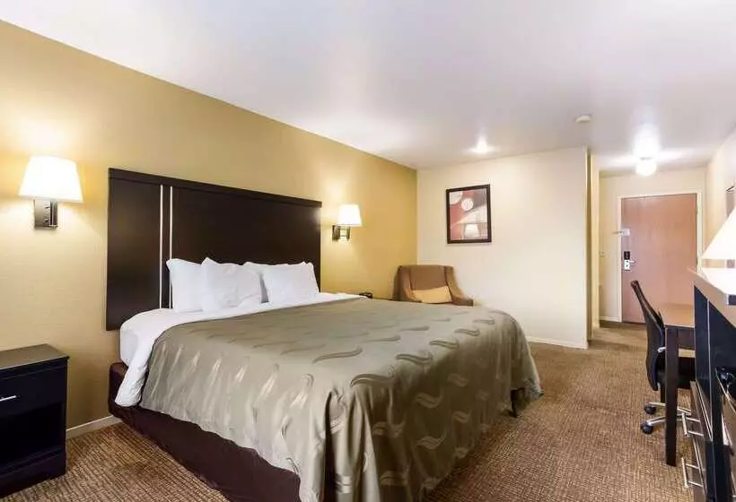 酒店 Quality Inn Airport