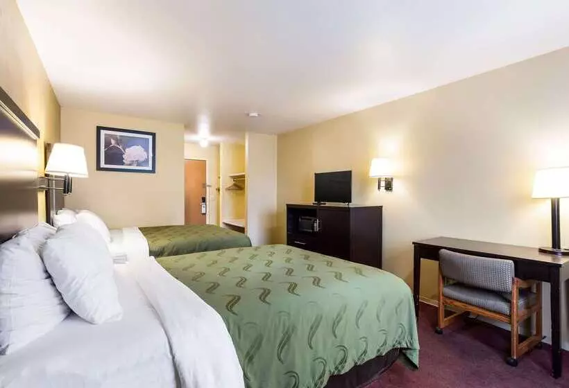 酒店 Quality Inn Airport