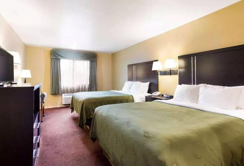 酒店 Quality Inn Airport