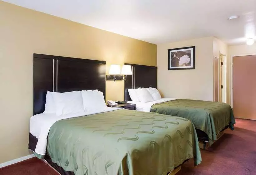 酒店 Quality Inn Airport