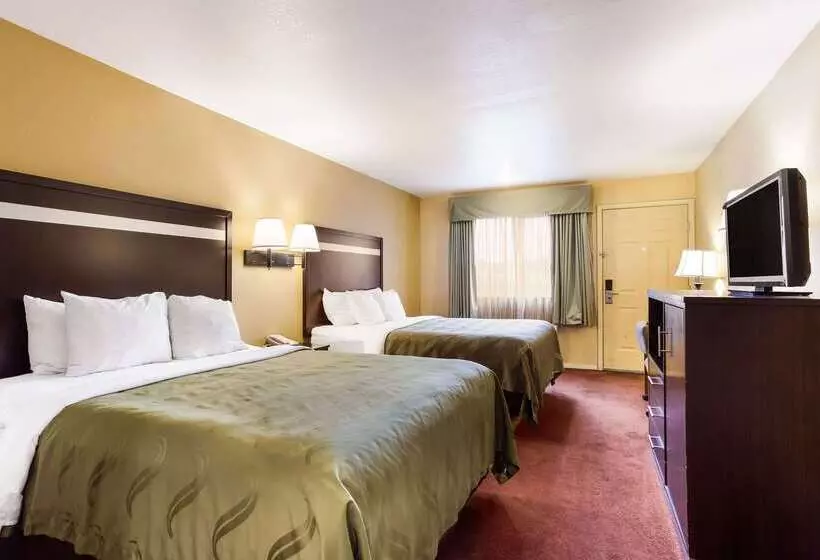 酒店 Quality Inn Airport