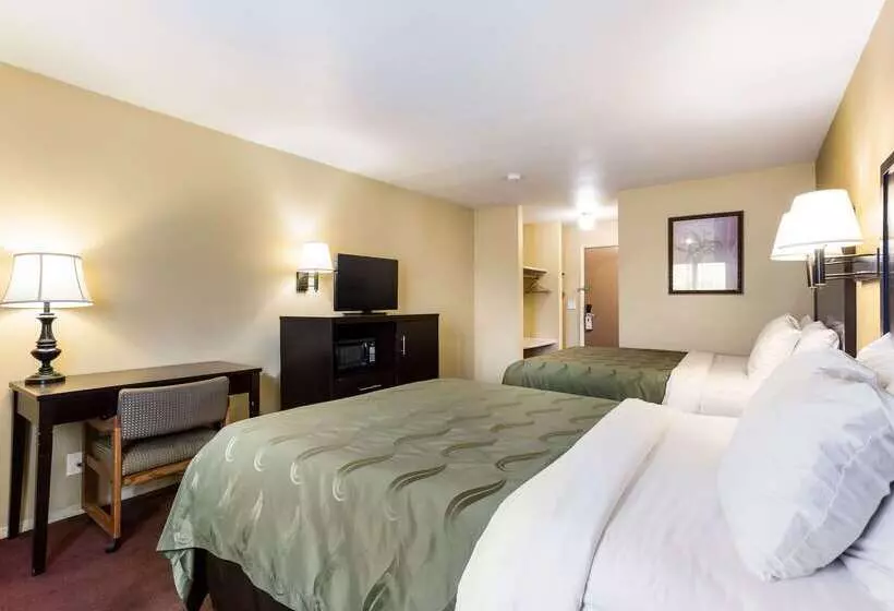 酒店 Quality Inn Airport