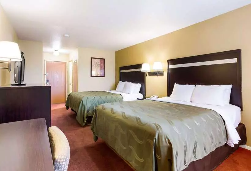 酒店 Quality Inn Airport