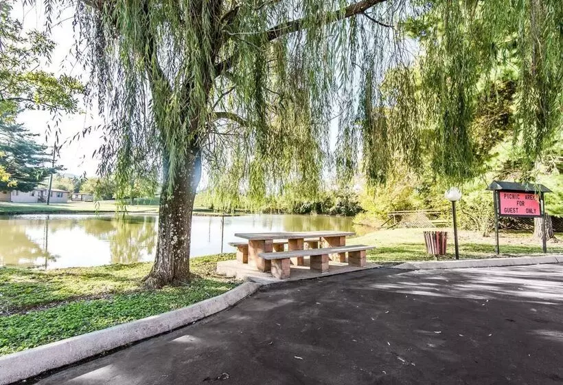 فندق Rodeway Inn