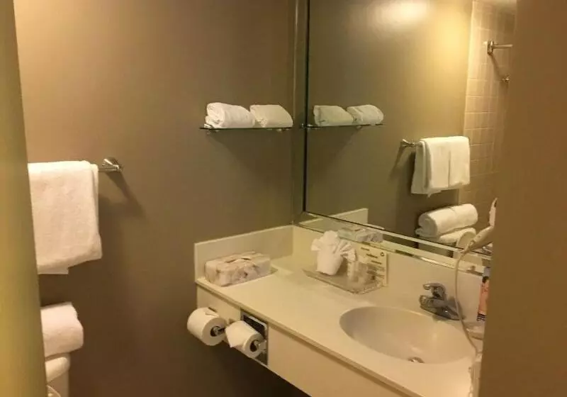 Szálloda The Crockett