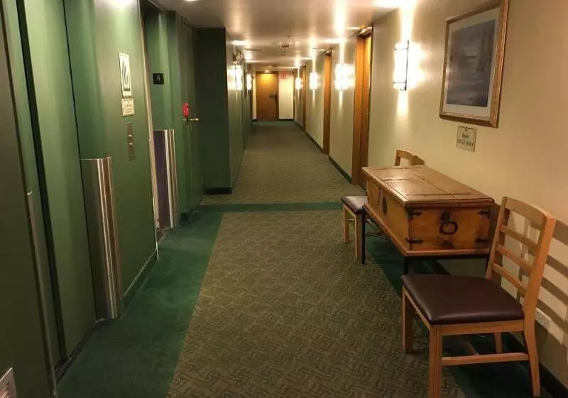 Szálloda The Crockett