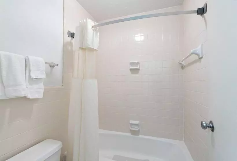 酒店 Williamsburg Suites