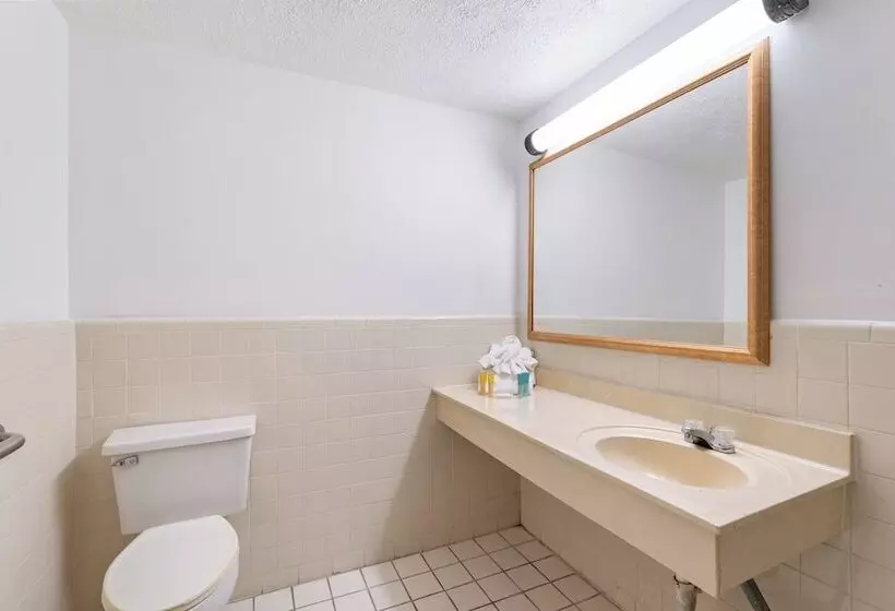 酒店 Williamsburg Suites