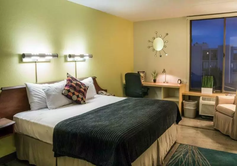 Hotel 502