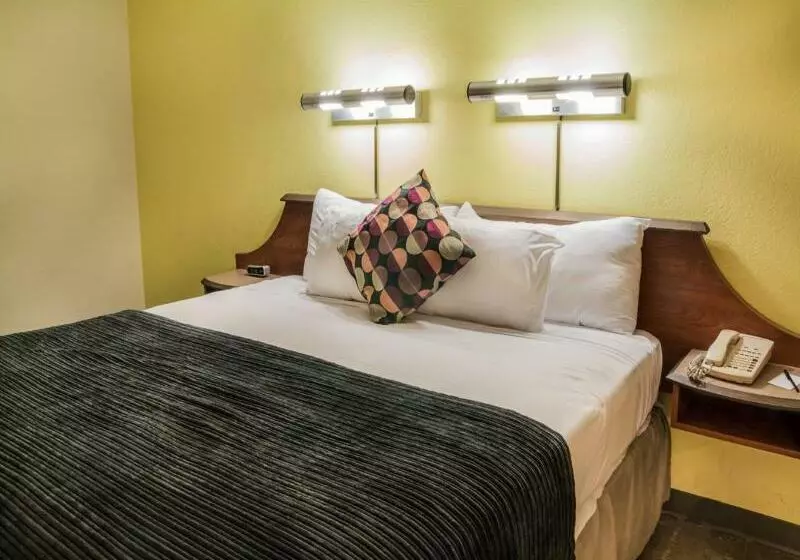Hotel 502