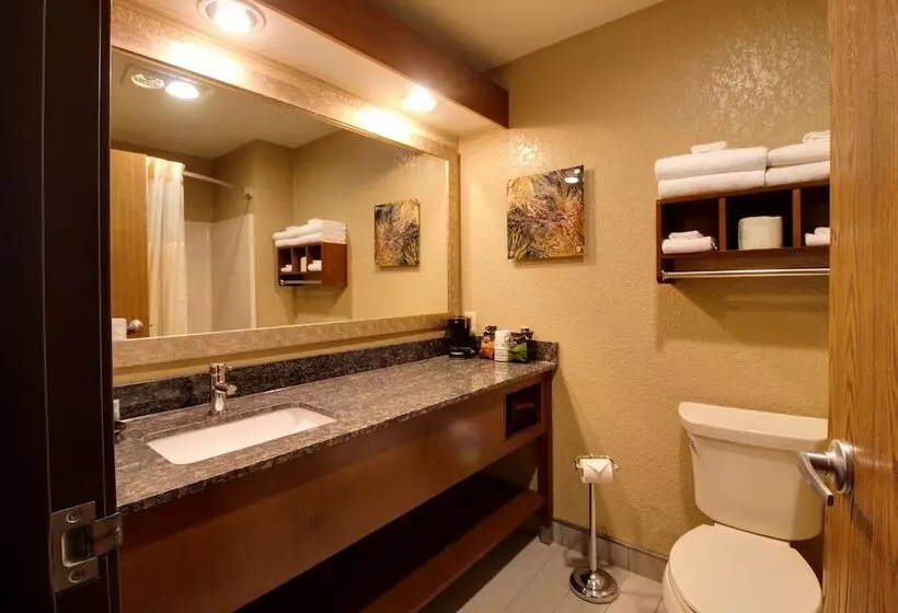 Отель Best Western Harbour Pointe Lakefront