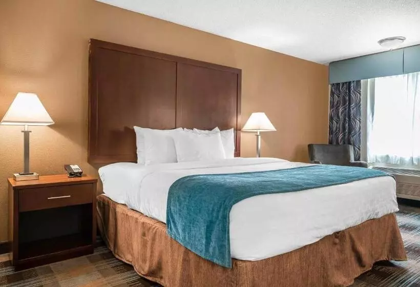 ホテル Oasis Inn Tacoma