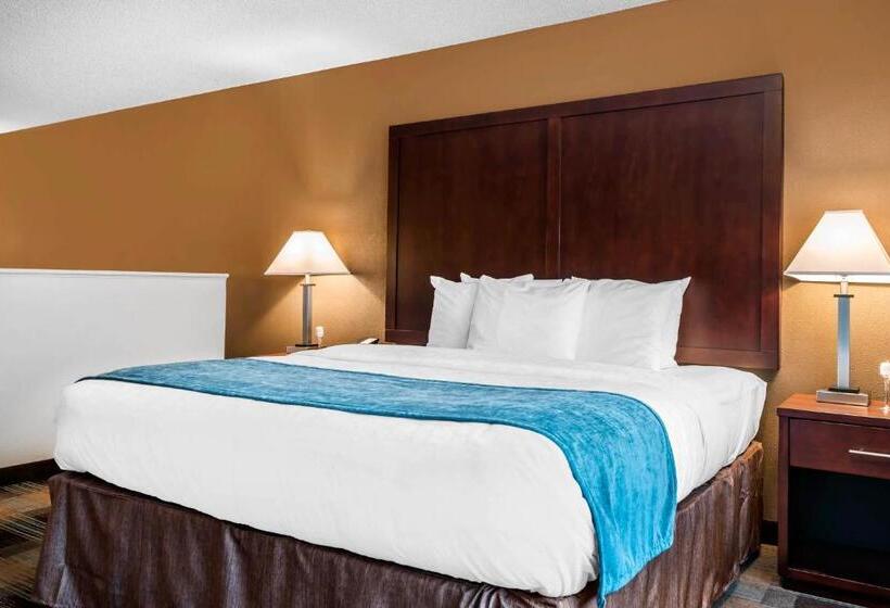 هتل Oasis Inn Tacoma